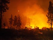 Brände vernichten 63'000 Hektar Wald und fordern sechs Tote in Kalifornien: Waldbrand bei Idyllwild. (Bild: KEYSTONE/EPA/DAVE MILLS)