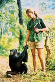 Jane Goodall hat Jahrzehnte mit Affen verbracht und sie studiert. (Bild: Mindjazz)