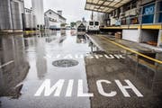 Hochdorf hat im Thurgau 80 Millionen Franken investiert und die Übernahme von Bimbosan schon finanziert. (Bild: Reto Martin (Sulgen, 9. März 2017))