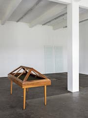 Die Vitrine der Stiftsbibliothek St. Gallen hat einen Ausflug in die Kunsthalle gemacht. (Bild: Gunnar Meier)