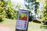 Wegen der anhaltenden Trockenheit herrscht im Kanton Luzern absolutes Feuerverbot. Bild: Alexandra Wey / Keystone (Greppen, 26. Juli 2018)