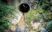 So wie dieser Bach sehen derzeit unglücklicherweise die meisten aus: Ausgetrocknet und kaum noch Wasser. (Bild: Andrea Stalder)