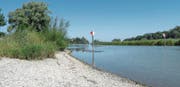 Für die «Rheineck», die «Alter Rhein» und die «Rhyspitz» führt der Fluss zu wenig Wasser. (Bild: Kurt Latzer)
