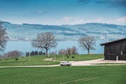 Bauplatz mit Aussicht: Im Gebiet «Fluck» sollen ein Wohnhaus und ein Ökonomiegebäude entstehen. (Bild: Boris Bürgisser, Sempach, 12. April 2018)
