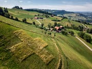 Ein Familienwerk: Das gemähte Kreuz ob dem Bachhof in Schwarzenberg. (Bild: Pius Amrein (Schwarzenberg, 30. Juli 2018))