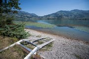 Das Ufer des Lauerzersee (Bild: Urs Flüeler / Keystone (Lauerz, 31. Juli 2018))