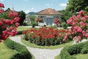 Die Steinegg-Stiftung liess den Rosengarten in Herisau neu gestalten. (Bild: Bilder: APZ/Toni Küng)