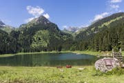 Nun ist es "amtlich": Auch im Voralpsee hat es wegen der hohen Wassertemperaturen Entenflöhe, die nach dem Baden einen heftigen Juckreiz auslösen können. (Bild: Archiv)