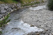 Die Wasser des Neckers (hier bei Brunnadern) beanspruchen derzeit nur halb so viel Platz als in anderen Frühsommern. (Bild: Urs M. Hemm)