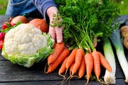 Blumenkohl, Rüebli und Lauch: Auf dem Sternenplatz wächst Gemüse für die Bevölkerung. (Bild: Fotolia)