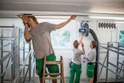 Im Kanton St. Gallen gibt es nahezu 2 (Bild: Gaëtan Bally/Keystone)
