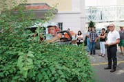 Manuel von Rotz zeigt den Besuchern der Diplomfeier, wie er eine Hecke schneidet. (Bild: Marion Wannemacher (Sarnen, 3. Juli 2018))