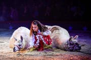 Spielerisch und energisch zugleich: Die siebenjährige Chanel Marie Knie bei ihrer Nummer mit den Lamas. Bild: Katja Stuppia/Circus Knie