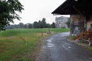 Im Gebiet Allmendhof in Cham soll die Kantonsschule zu stehen kommen. (Bild: Werner Schelbert (6. Juli 2018))