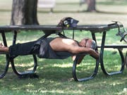 Hitzewelle im Osten Kanadas: Ein Mann ruht sich im Schatten eines Baumes in einem Park in Montreal aus. (Bild: KEYSTONE/AP The Canadian Press/GRAHAM HUGHES)