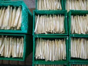 Bei den weissen Spargeln gab es in diesem Jahr eine Rekordernte. (Bild: KEYSTONE/GAETAN BALLY)