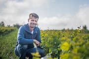 Roland Lenz zwischen seinen jungen Reben auf dem Iselisberg. (Bild: Thi My Lien Nguyen, August 2017)
