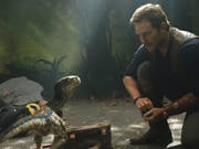 Chris Pratt in «Jurassic World: Fallen Kingdom.» Der Film hat gemäss US-Branchenblättern soeben die 1-Milliarden-Dollar-Marke geknackt. (Bild: Keystone/AP Universal Pictures/PHOTO CREDIT: UNIVERSAL PICTURES)
