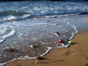 Blumen für die Opfer bei einem Gedenkanlass. Bei dem Flugzeugabsturz waren Ende 2016 alle 66 Insassen ums Leben gekommen. (Bild: Keystone/EPA ALMASRY ALYOUM/MAHMOUD TAHA)