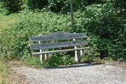 Das «Ruhebänklein» oberhalb des Unterbazenheider Mühleweihers wird oft von Fussgängern genutzt, die zwischen Kirchberg und Bazenheid unterwegs sind. (Bild: Beat Lanzendorfer)