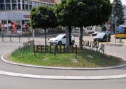 Der Turbolauch auf dem Schwanenkreisel hat die respektlosen Angriffe der Fussballfans grösstenteils überlebt. (Bilder: Christoph Heer)