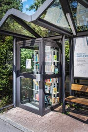 An der Bushaltestelle Scheidweg in Winkeln ist eine kleine Bücherei entstanden. (Bild: Michel Canonica)