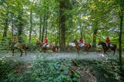 Reiter des Vereins Regionale Reitwege Rontal auf der Galopp-Piste im Schiltwald. (Bild: Pius Amrein (27. Juni 2018))