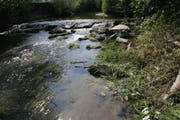 Aus Thurgauer Gewässern soll kein Wasser mehr entnommen werden dürfen. (Archiv/Susann Basler)