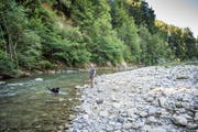 Vierbeiner und Herrchen lassen sich die Laune vom tiefen Wasserstand der Sitter nicht verderben: Sie geniessen, was da ist. (Bild: Ralph Ribi)