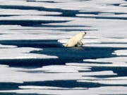 Das Arktis-Eis schmilzt rasant weiter. Einer der Gründe: Laut einer US-Untersuchung haben die Emissionen der drei schädlichsten Treibhausgase Kohlendioxid (CO2), Methan und Lachgas 2017 neue Rekordausmasse erreicht. (Bild: KEYSTONE/AP/DAVID GOLDMAN)