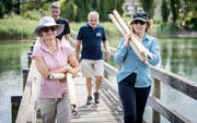 Die Naturschützer richten mit Hilfe der Gemeinde am Rhein eine Ruhezone für Wasservögel ein. (Bild: Reto Martin)