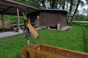 Der gedeckte Sitzplatz der Vereinshütte der Wartauer Fischer am Mühlbach muss zurückgebaut werden. (Bild: Heini Schwendener, 13. Mai 2014)
