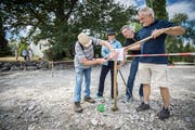 In Eschenz richten Naturschützer mit Hilfe der Gemeinde am Rhein eine Ruhezone für Wasservögel ein. (Bild: Reto Martin)