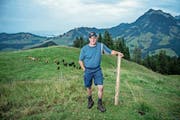 Der aktuelle Präsident Martin Renggli auf seiner Alp «Stettili» in Finsterwald. (Bild: Pius Amrein, 8. August 2018)