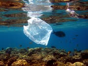 Einweg-Plastiksäcke zählen zu den häufigsten Dingen, die im Abfall an Neuseelands Küsten gefunden werden. (Bild: KEYSTONE/EPA/MIKE NELSON)