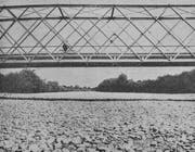 Die Thur bei Pfyn ist 1947 nur noch ein Kiesbett. Kein einziger Tropfen Wasser fliesst mehr. (Bild: Photo Baumgartner, Thurgauer Zeitung vom 22. August 1947)