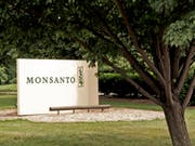 In den USA ist die Firma Monsanto zu einer Schadensersatzzahlung in Millionenhöhe verurteilt worden. (Bild: KEYSTONE/AP/JAMES A. FINLEY)