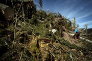 Nach dem Sturm Lothar verunglückten im Jahr 2000 zahlreiche Forstarbeiter tödlich - dieses Mal kam es zu deutlich weniger Unfällen (Archivbild: Pius Amrein)