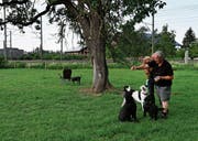 Die Hundefreilaufwiese im Gebiet Choller musste zur Wiederinstandsetzung vorübergehend geschlossen werden. (Bild: Stefan Kaiser (Zug, 4. Juni 2018))