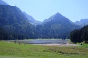 Hat optisch dank einiger Quellen weniger unter der Hitze gelitten: Der Voralpsee am Grabserberg. (Bild: Walter Roggensinger)
