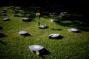 Ein Gemeinschaftsgrab auf dem Friedhof Feldli.