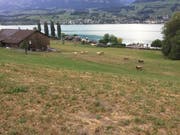 Blick auf einen Bauernhof in Wilen bei Sarnen. (Bild: PD)