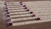 Die Europäer importieren einen Zehntel der weltweit produzierten Soja. Insbesondere aus Brasilien (Bild) und den USA. Dabei handelt es sich um 80 Prozent um Gentechnisch veränderte Pflanzen. (Bild: Andre Penner)