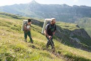Alp Oberalp in Isenthal: Ferdi Ziegler und sein Neffe Sandro tragen die Brennten zur Materialseilbahn im Schöntal. (Bild: Christof Hirtler, Isenthal, 25. Juli 2018)