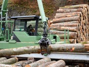 Die Schweizer Sägereien stehen unter hartem Konkurrenzdruck aus dem Ausland. (Bild: KEYSTONE/LAURENT GILLIERON)