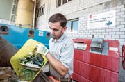 Alex Moser, Leiter des Technischen Dienstes der Gemeinde, ist für die Sammelstelle verantwortlich. Bild: Pius Amrein (2. August 2018)