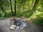 Grillieren im Wald verboten: Auch die Kantone Freiburg und Neuenburg erlassen wegen der Waldbrandgefahr ein Feuerverbot im Wald und in Waldesnähe. (Bild: Keystone/URS FLUEELER)