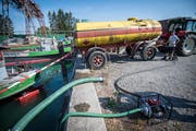 Aufgrund des Bewässerungsverbots pumpt ein Obstbauer am Güttinger Kieshafen Wasser aus dem Bodensee. (Bild: Reto Martin)