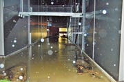 Über den Steinachdammweg ergossen sich die Fluten auf Firmengelände der Variosystems und setzten die Lagerräume unter Wasser. (Bild: Max Eichenberger)