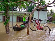 Velo in den Baum gerettet: Szene der Überschwemmung in Alappuzha, Kerala. (Bild: KEYSTONE/AP/TIBIN AUGUSTINE)